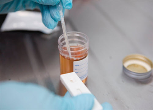 عفونت ادراري بزرگسالان